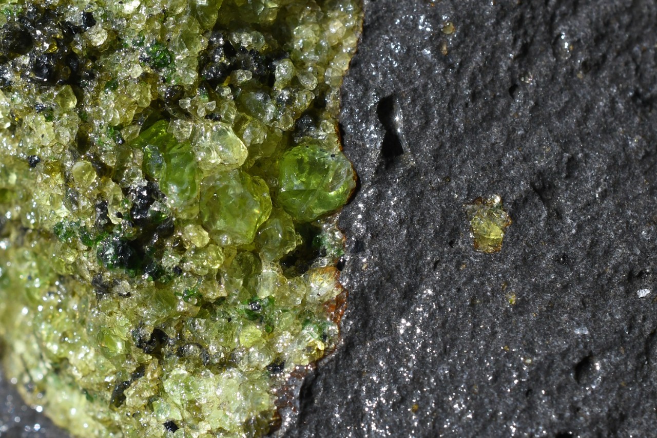 亚利桑那州圣卡洛斯阿帕奇保留区Lherzolite捕虏岩中的大型橄榄石或橄榄石晶体