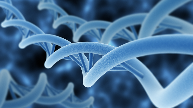 nucleic-acid-protein-imaging