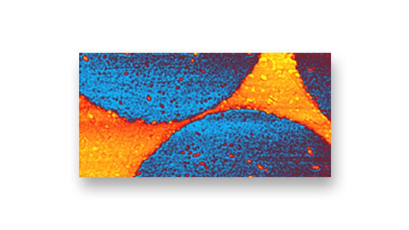 纳米红外光谱-分析热敏电表的<s:1> <s:1>纳米<s:2> - <s:2>