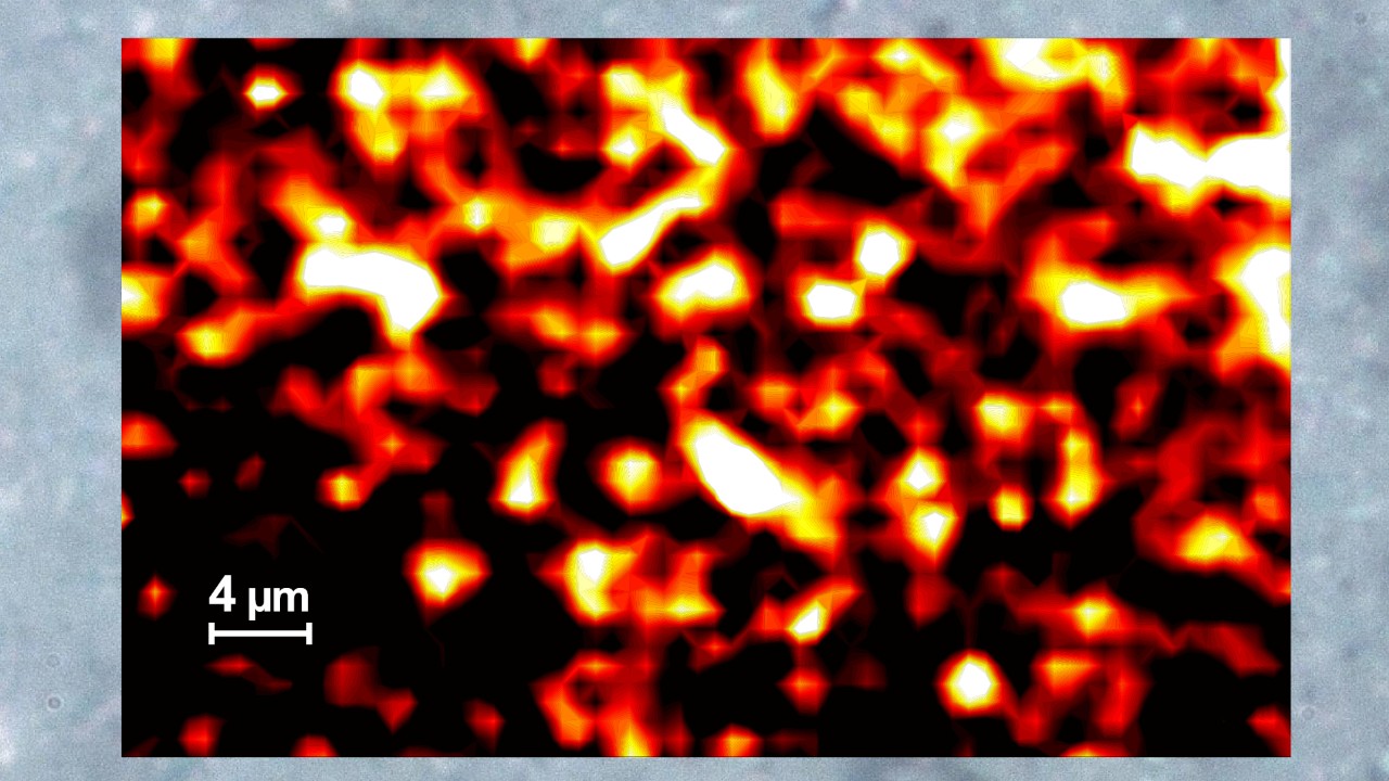 聚合物矩阵内阻燃分布热图越亮色越高三聚安非拉
