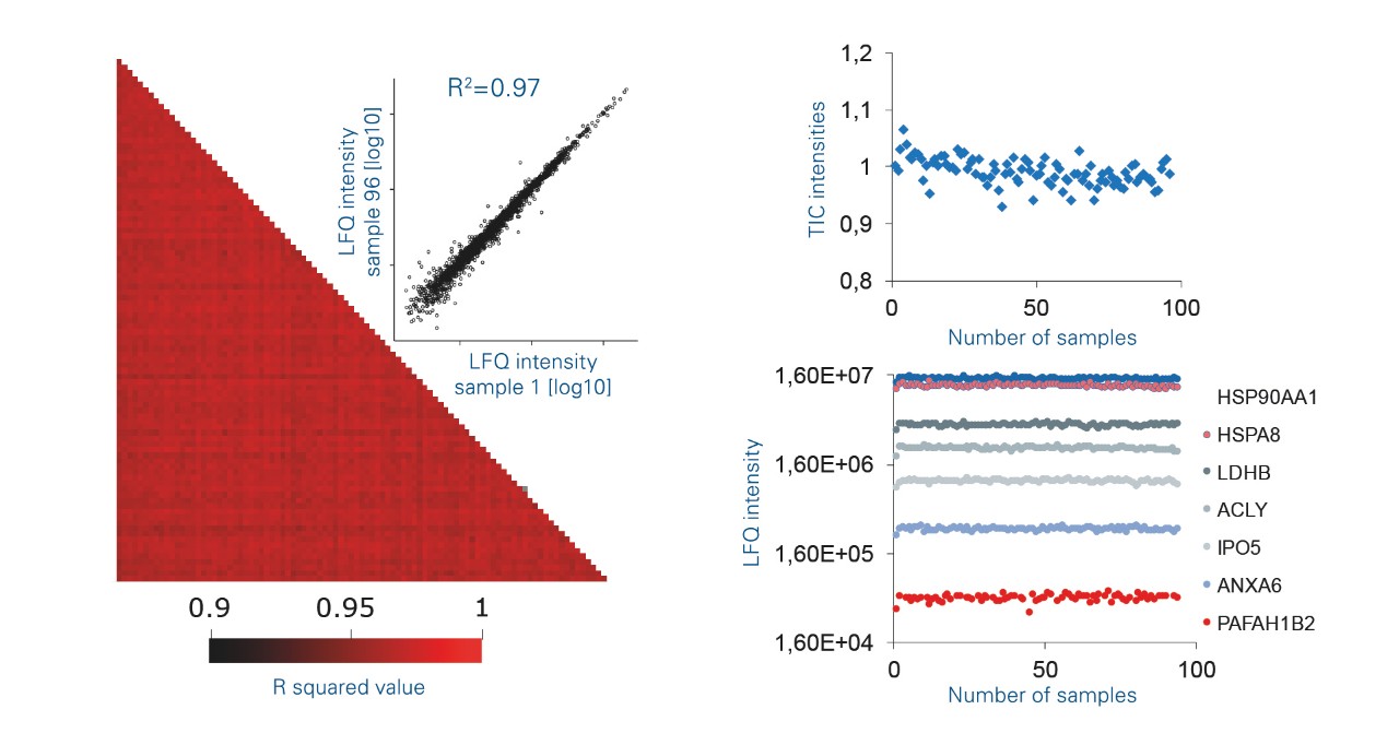 Evosep One/timsTOF Pro用于临床蛋白质组学:连续注射100次50 ng的Hela细胞消化液，以6分钟梯度分离(200个样品/天方法)，可重复性和性能水平。左:100次运行的强度相关性。中图:LFQ结果说明。右:不同浓度下物种的可重复性测量。