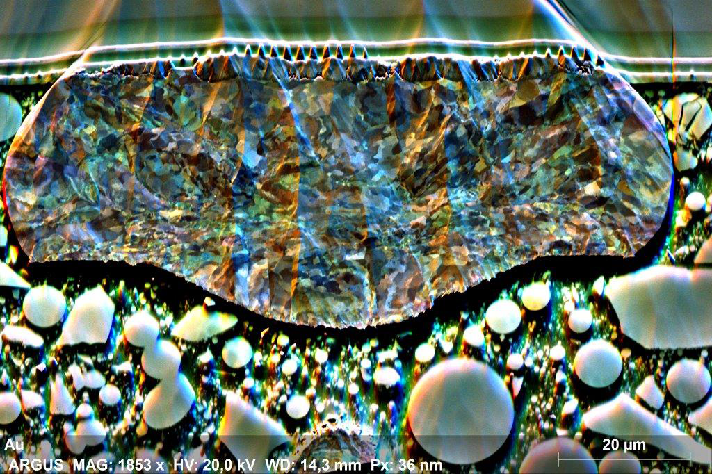 方向对比图像获得ARGUS成像探测器。它揭示了微观结构,尽管一些离子铣垂落,样品准备好;清晰可见的内部应变的黄金债券ARGUSTM颜色取向的对比。