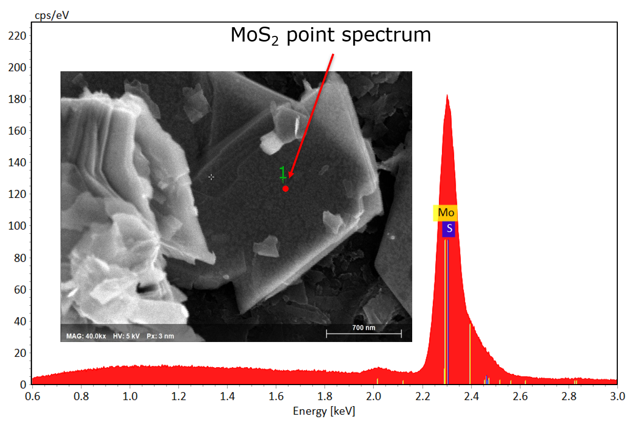 图1:SEM图像和光谱的二硫化钼