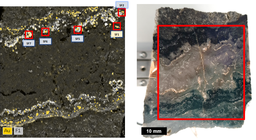 图1:样本Karangahake金矿在新西兰。