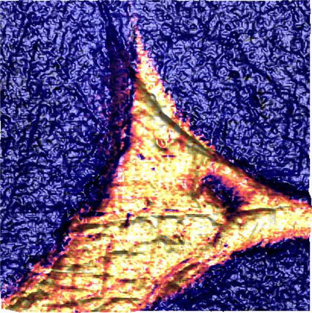 纳米级属性地图nanochemical AFM-IR卡宾纤维嵌入在环氧树脂的形象。