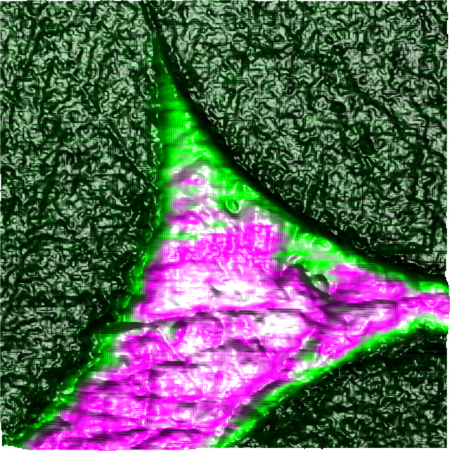 纳米级属性地图nanoelectrical PF-KPFM卡宾纤维嵌入在环氧树脂的形象。