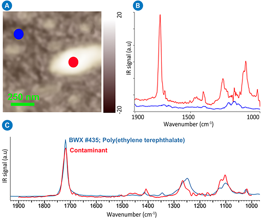 AFM-IR缺陷检验;光热光谱分析AFM-IR光谱nano-contaminant裸露的硅晶片