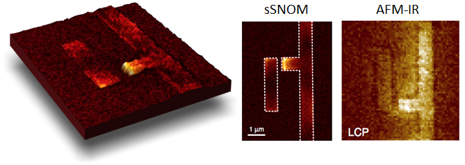 二维超材料上的纳米ir - s-SNOM雷竞技网页版