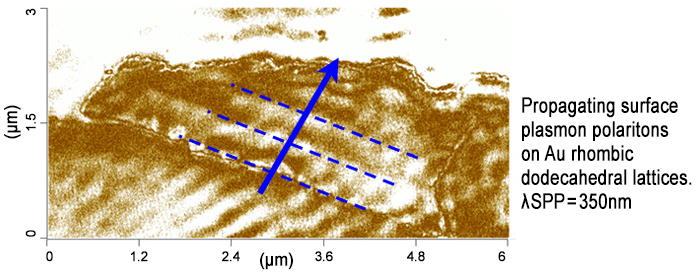 表面等离子激元极化子的纳米ir - s-SNOM研究