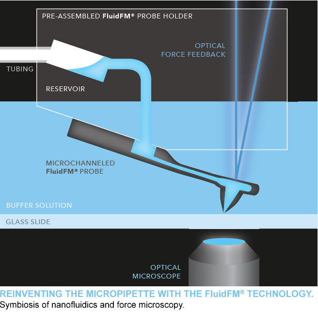 FluidFM®ADD-ON来自Cytosurge