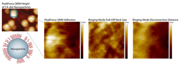 在表面涂层纳米颗粒表面获得的高分辨率Ringing Mode + PeakForce QNM图像