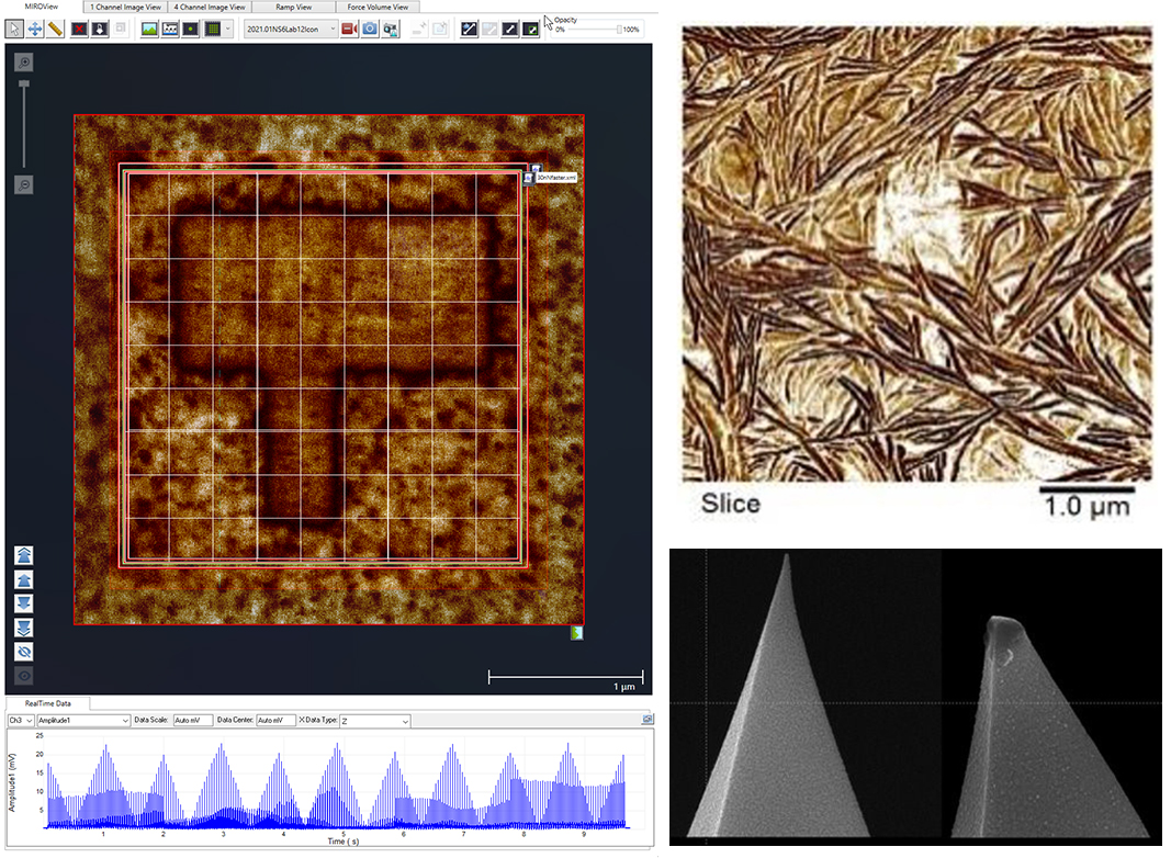 顺时针从左起:MIROView画布与SS-PFM RampScript阵列的PFM图像;聚合物薄片的DCUBE-PFM图像;在接触模式下使用后尖端磨损。