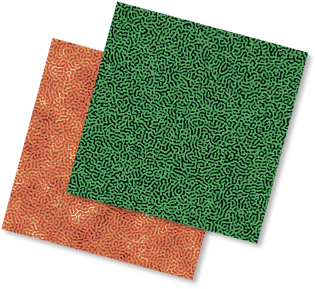 三嵌段共聚物的高分辨率形貌和相位图像