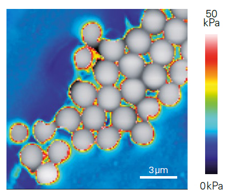NanoWizard纳米科学-硅珠上的微流变学