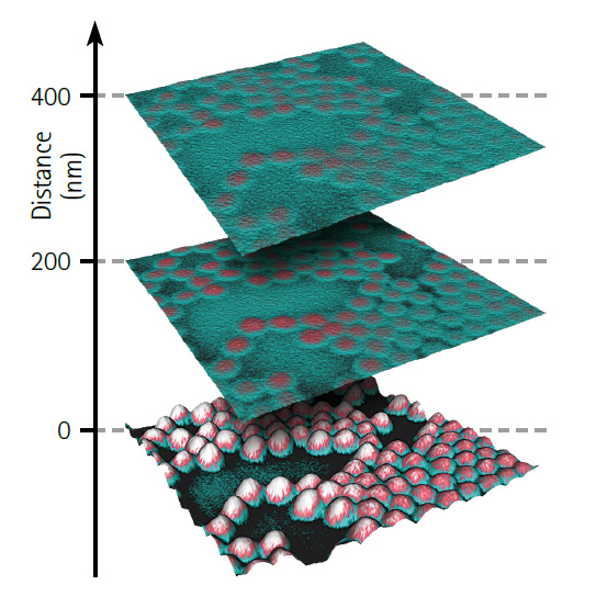 NanoWizard纳米科学-静电显微镜对NIPAM粒子