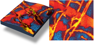 nanoIR - Microscopía de Fuerza de Sonda Kelvin (KPFM)