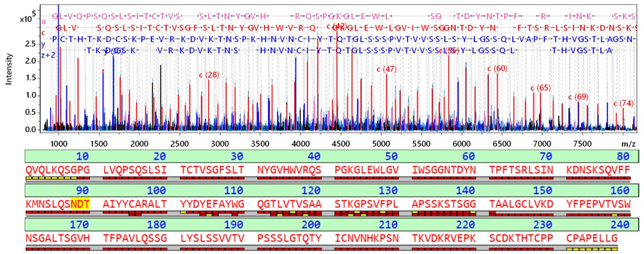 Middle-Down序列分析deglycosylated西妥昔单抗的Fd单元完全证实了序列。