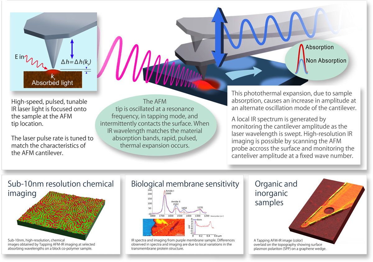 透视式AFM-IR pour spectromètres infrarouges à l ' échelle nanométrique