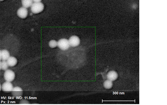 フィルタ材料上のシリコンナノ粒子のse画像