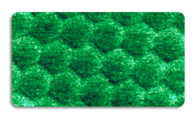 ディメンションファストスキャンAFM——六角ホウ素窒化物のグラフェンのピークフォースQNMモジュラス画的像