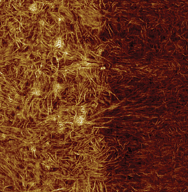 マルチモド8 hr afm -タとシラント層の間のモジュラス画像