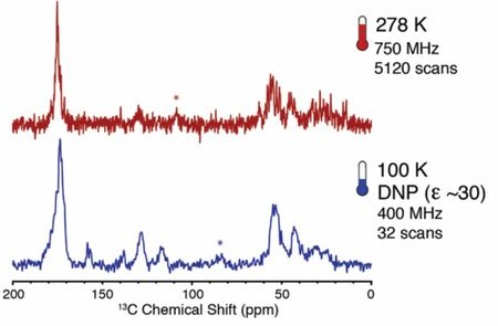 在布鲁克DNP-NMR光谱仪上，广泛的生物样品已成功增强，包括小肽、可溶性蛋白、膜蛋白和大型生物复合物。