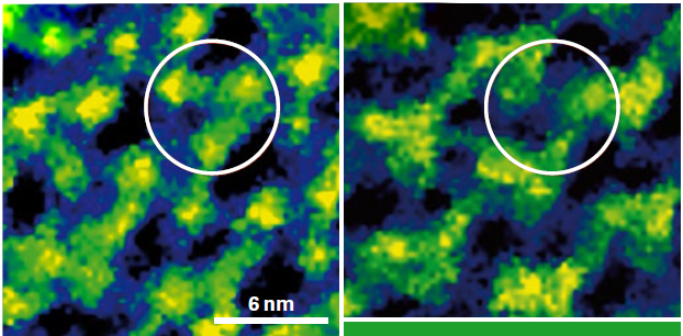 NanoWizard超速度2 -细菌视紫红质(突变D96N) photocycle