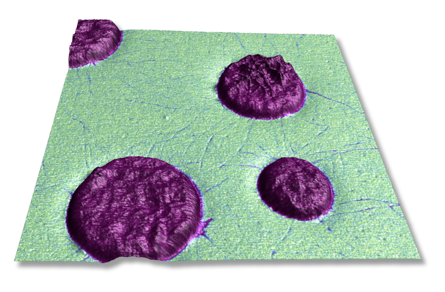 聚甲基丙烯酸甲酯（青色）基质中的间规聚丙烯（紫罗兰色）区域。三维形貌图中的色标表示模量，能清晰地揭示出间规聚丙烯在基质中的渗透。图像尺寸为8 μm。