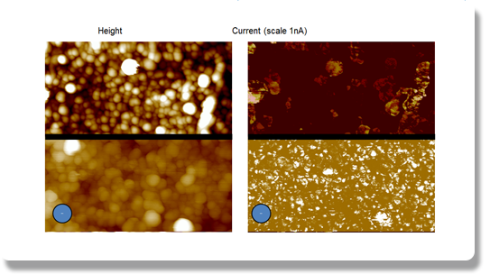 Size FastScan AFM - carbon nanotubes on the current imaging