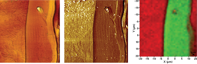 The morphology of polystyrene/polypropylene structure (left, (image size of 40 mu m x 40 microns).PeakForce QNM provide quantitative information of elastic stiffness/sample.Modulus of contrast is different in this picture said polystyrene (dark) and polypropylene (bright), compared with large modulus.Raman map, by contrast, clearly shows the chemical composition of the different areas (red green, polystyrene, polypropylene), the results show that the detection of the excellent correlation.